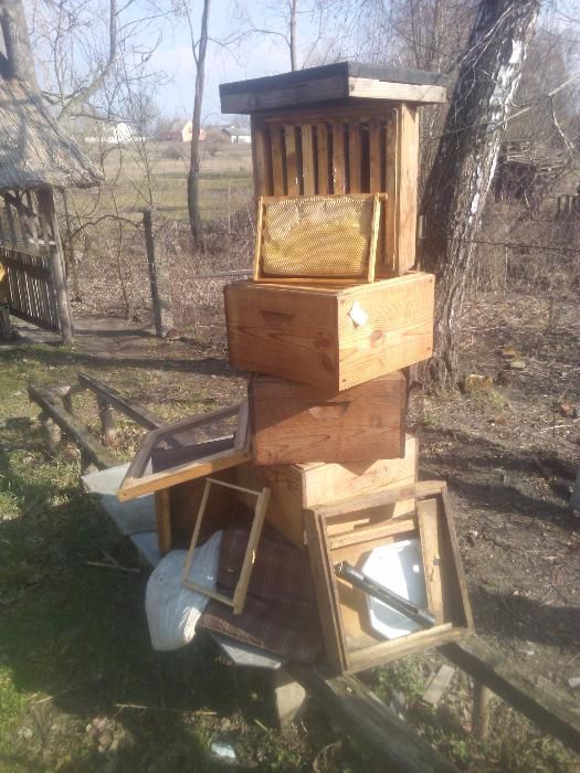 Продам: бджолосімї з вуликами, пасіка бджоли, вулик, павільйон.