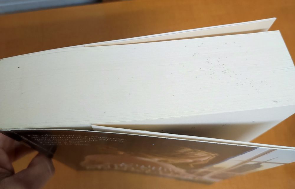 Livro Cuida de Mim, Judith McNaught