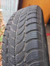 Opony zimowe Dębica 175/65 R14