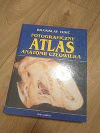 Fotograficzny atlas anatomii człowieka branislav vidić