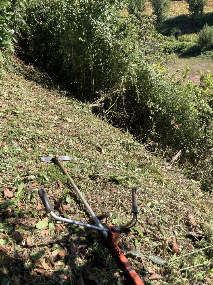 Limpeza de terrenos, servicos de trator