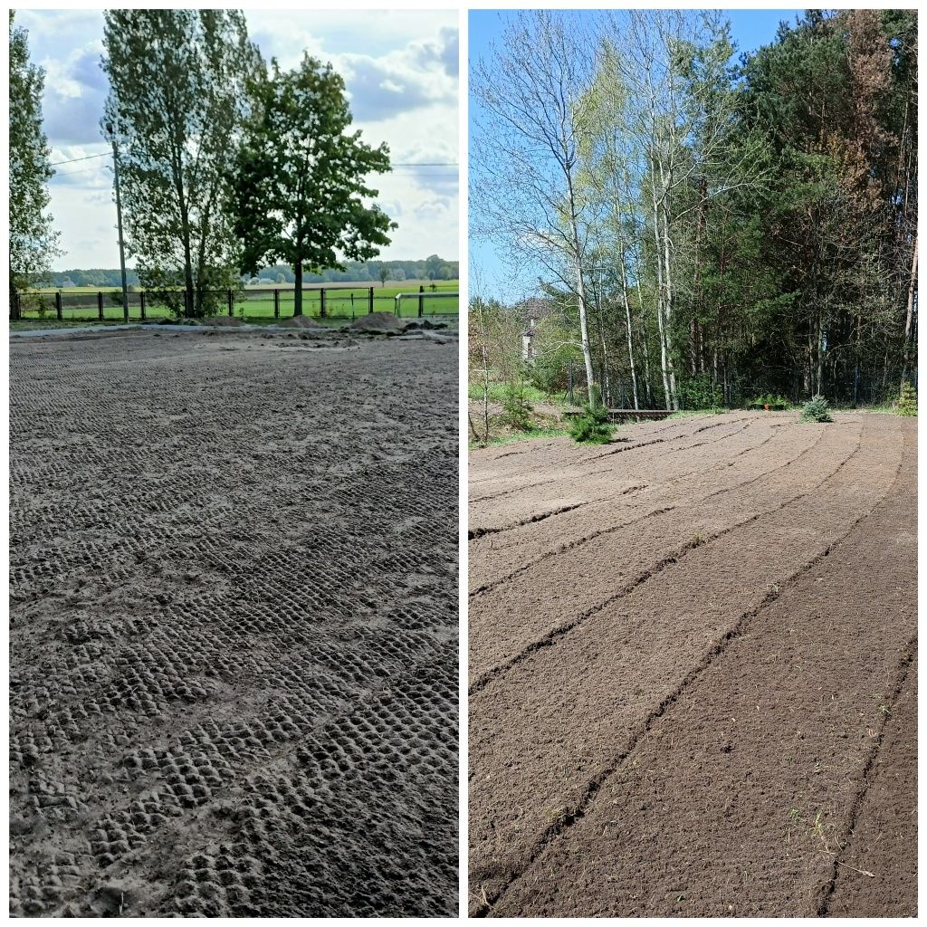 Wycinka Drzew Glebogryzarka Separacyjna Karczowanie Zakładanie Trawnik