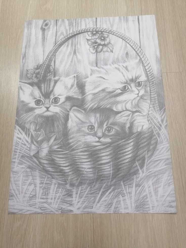 Rysunek ołówkiem Trzy kotki w wiklinowym koszyku. Na brystolu.