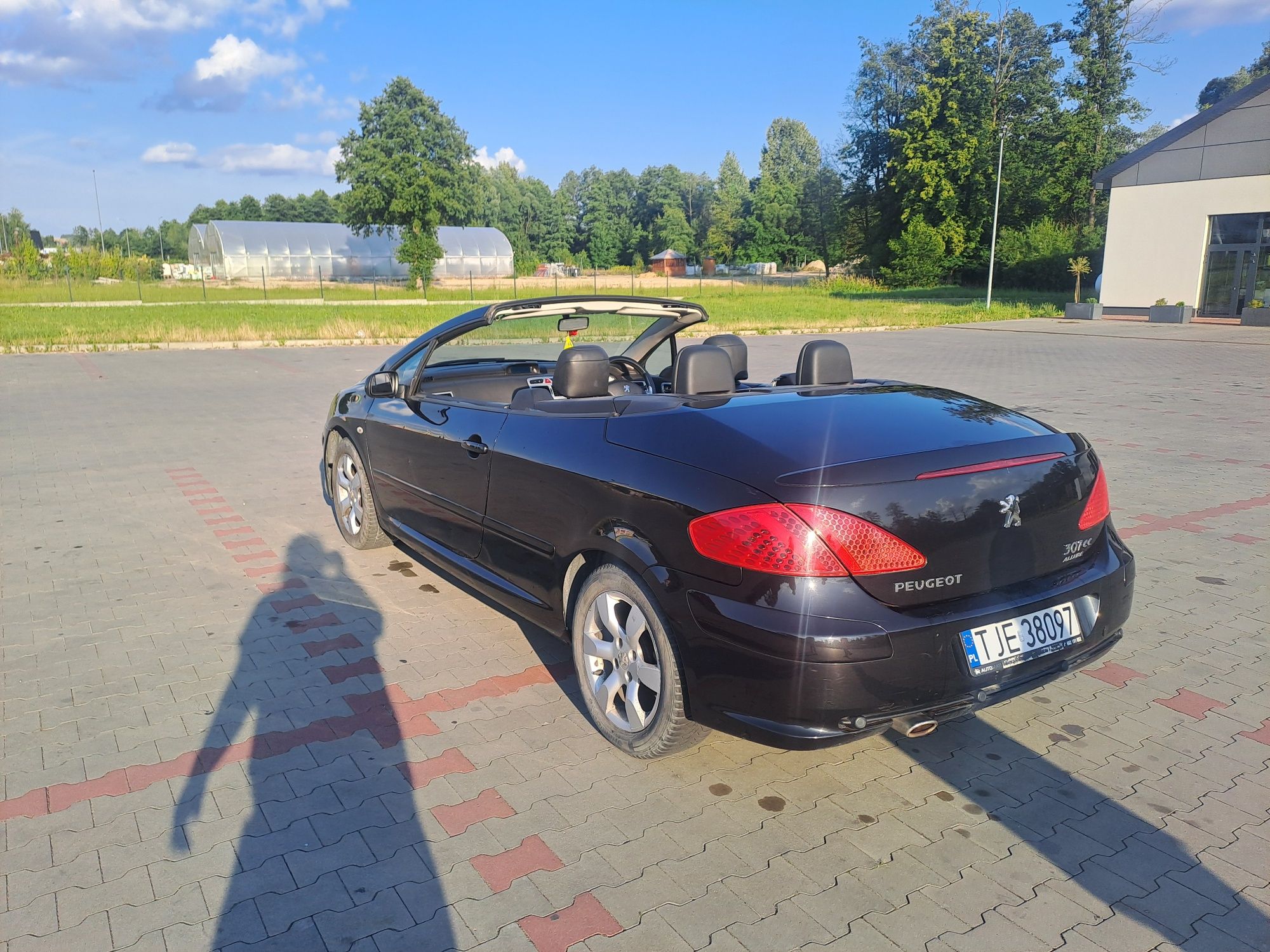 Peugeot 307 CC 2007