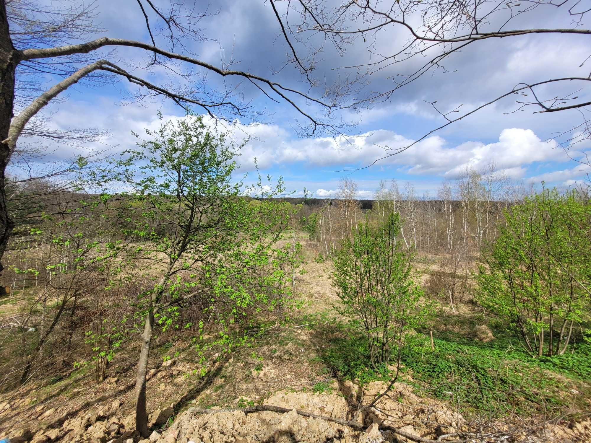 Продаж.Земля в Павлівці 1,25 Га. 10 км від Івано-Франківська.