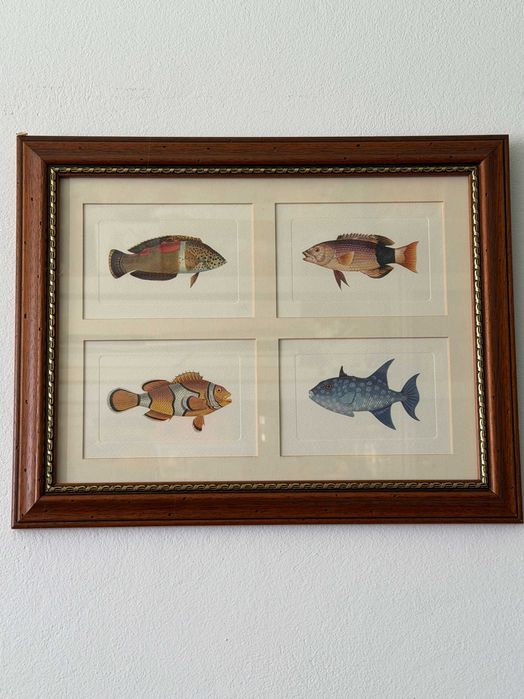 Quadro de Cozinha com imagens de peixes