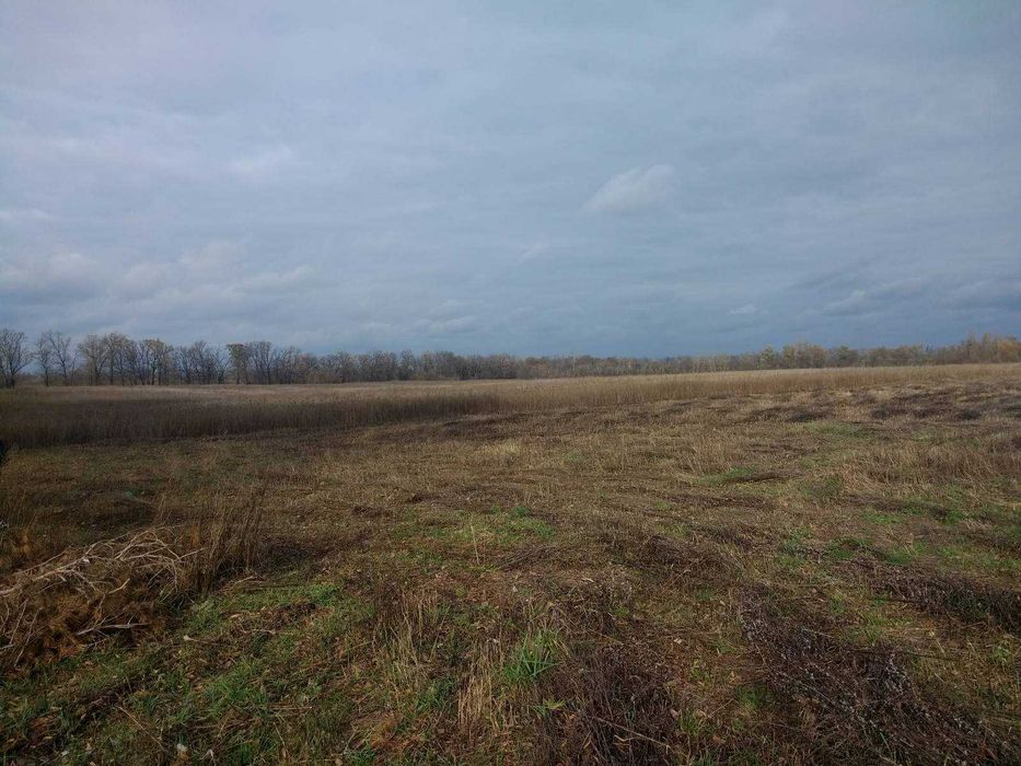 Гостомель. Фасадна ділянка біля траси. Земля під комерцію - 51 сотка.