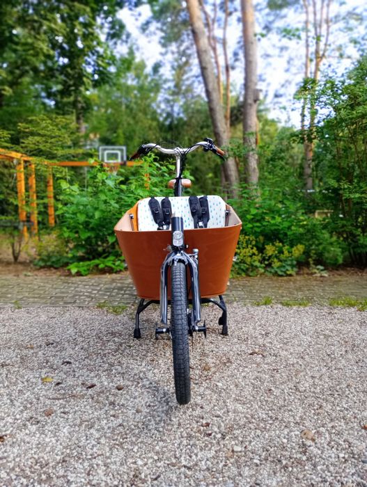 Elektryczny rower cargo Babboe City Mountain