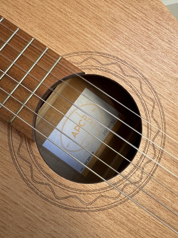 Guitarra APC GC200 OP 4/4 com estojo
