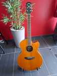 Guitarra Acústica Yamaha Cpx 600