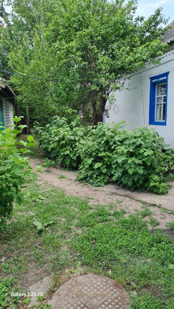 Продам будинок у місті  Глобине