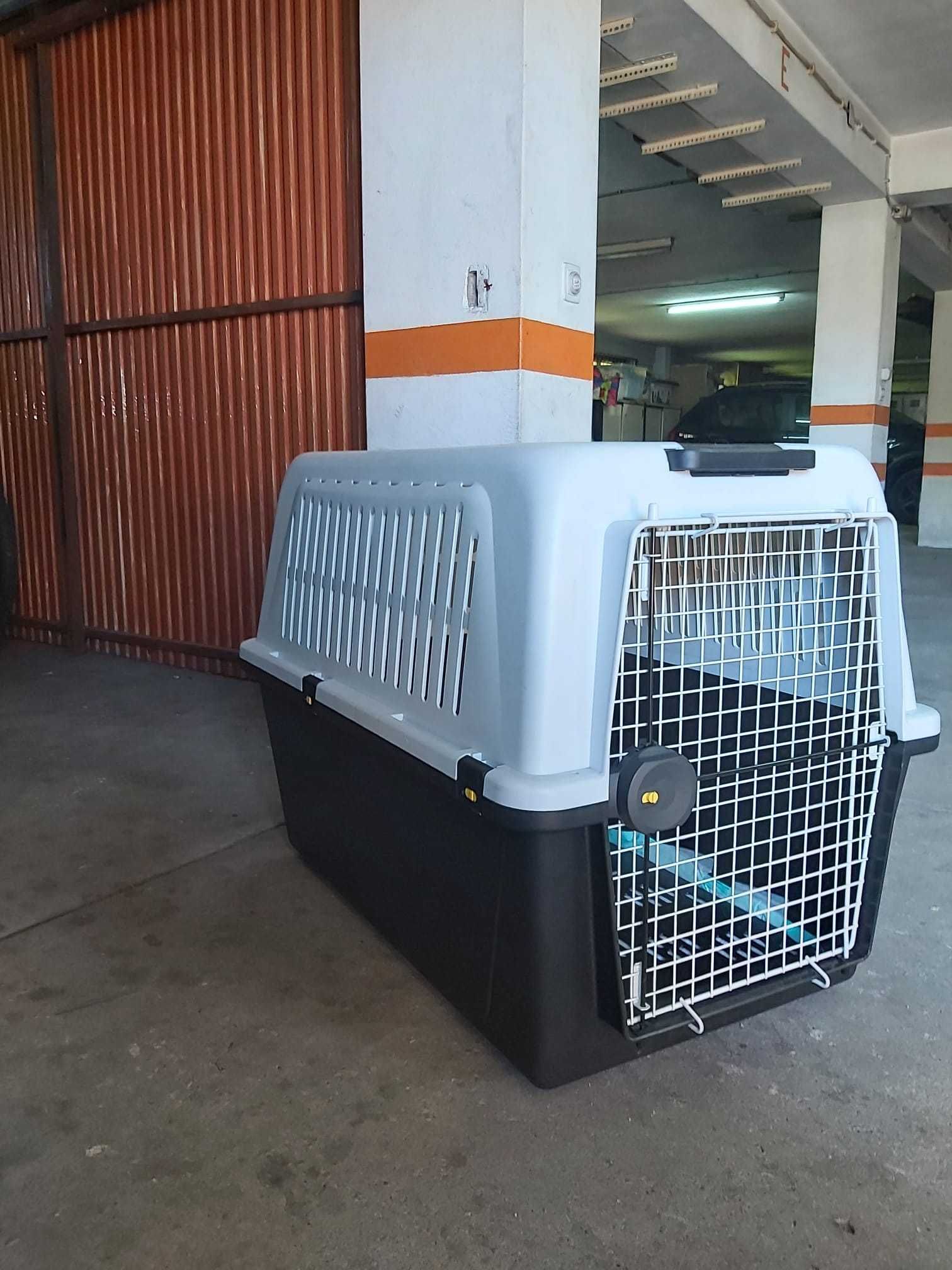 Caixa para transportar no avião animal em torno de 30 quilos