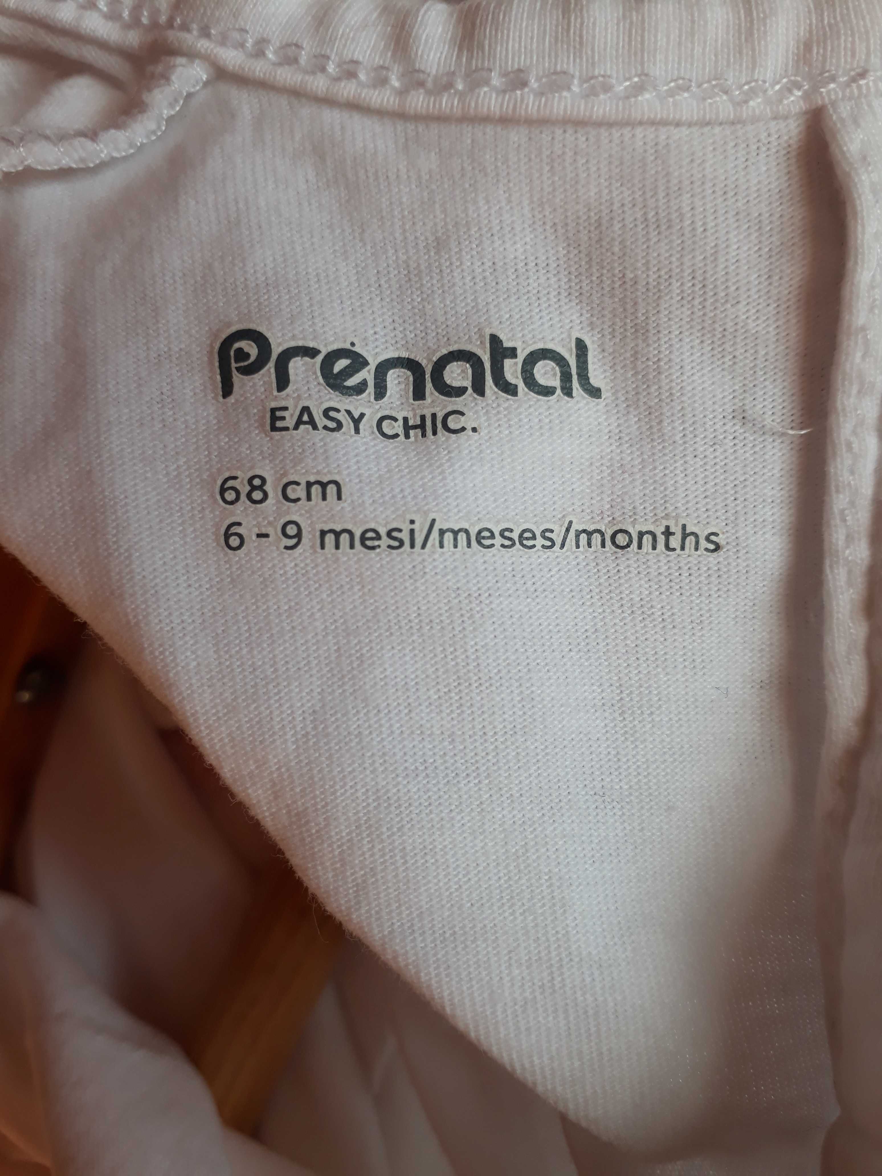 Letnie body Prenatal 6-9 m-cy