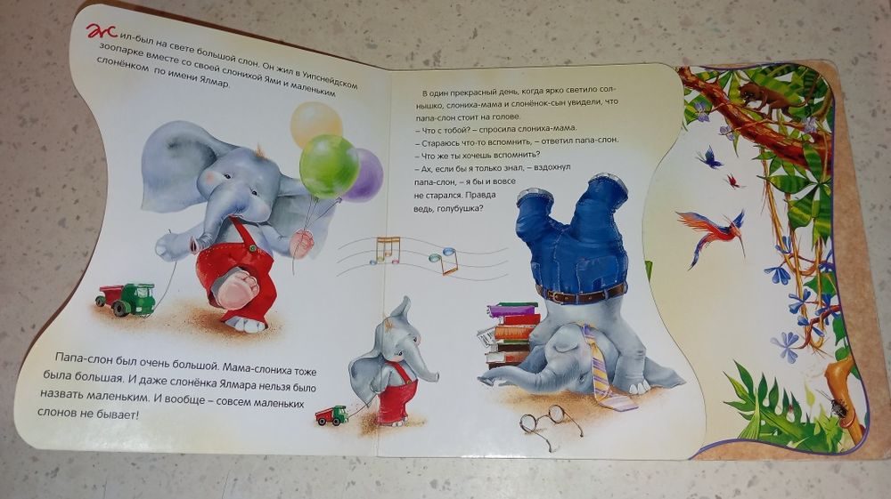 Дональд Биссет Забытый День рождения  Картонная книга-2004. 250 грн