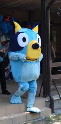 Pies Bluey maskotka, strój,  przebranie , kostium