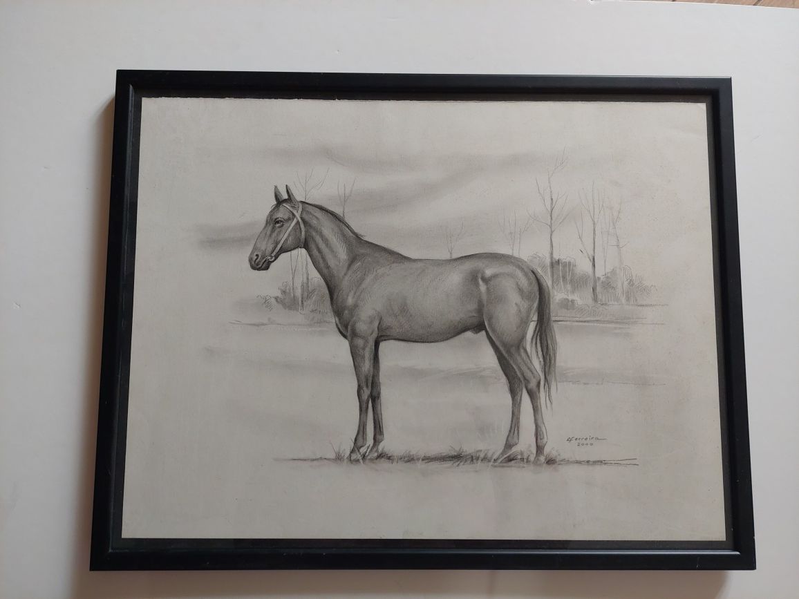 Lindo desenho cavalo emoldurado assinado