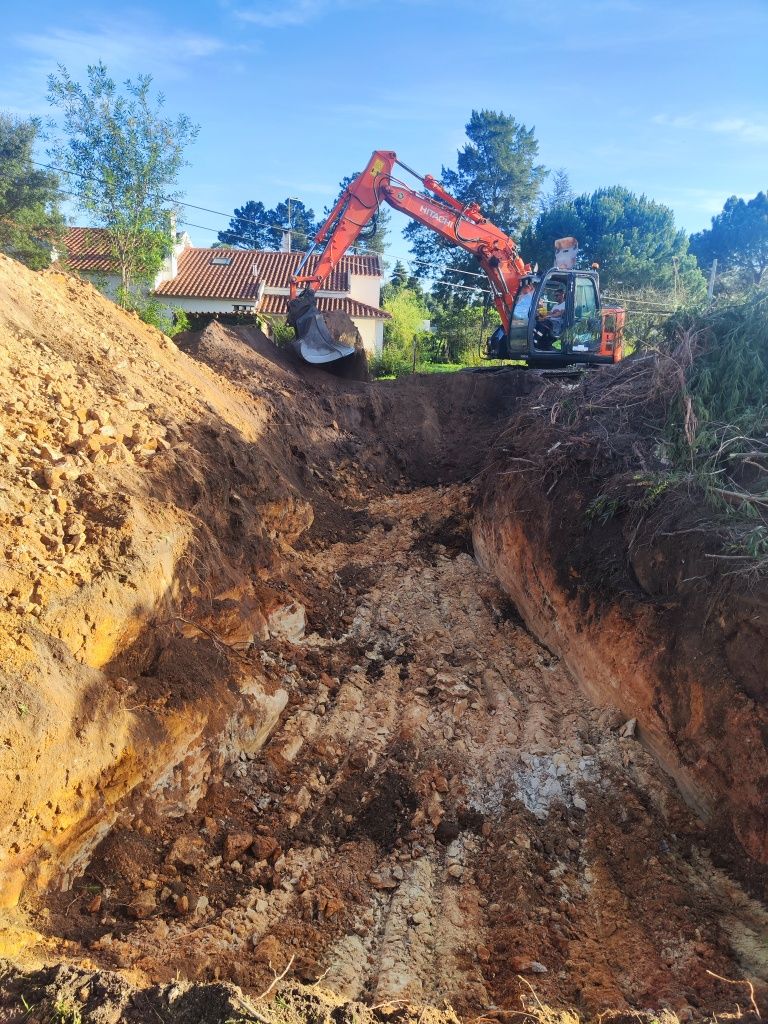 Limpeza de terrenos  - Serviços silvicultura - escavações