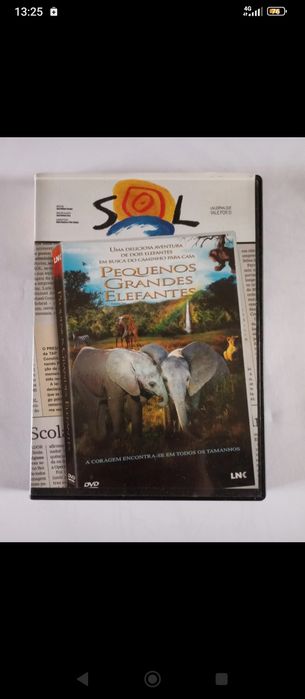 DVD Pequenos Grandes Elefantes