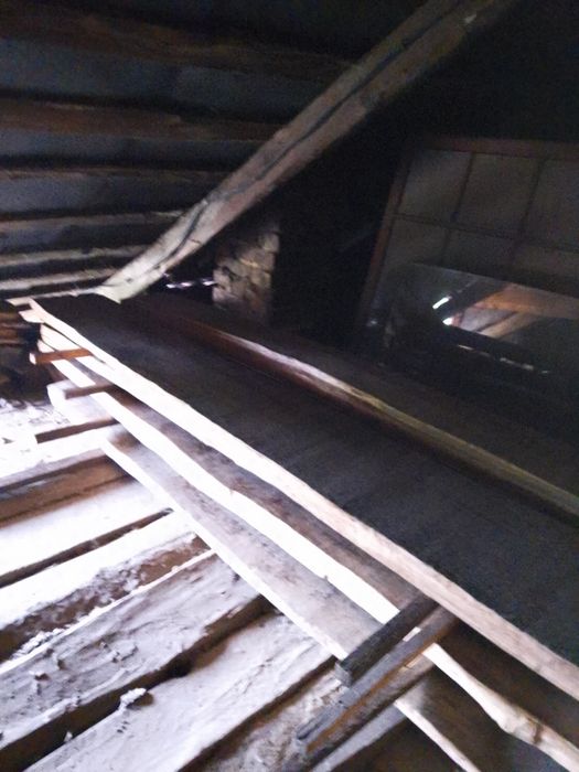 Дуб сухий 2,50/65/20