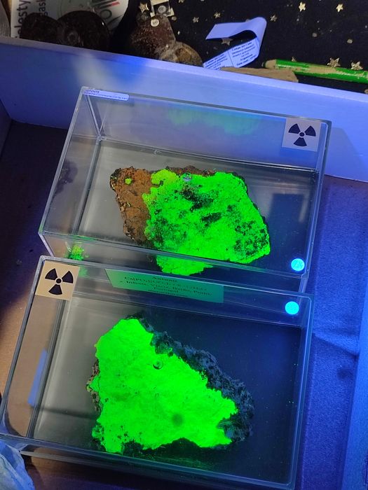 Minerał uranowy. Autunit, świeci przepięknie w UV.