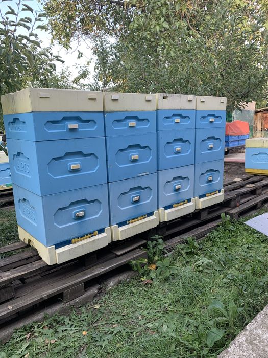 Продам вулики ппс