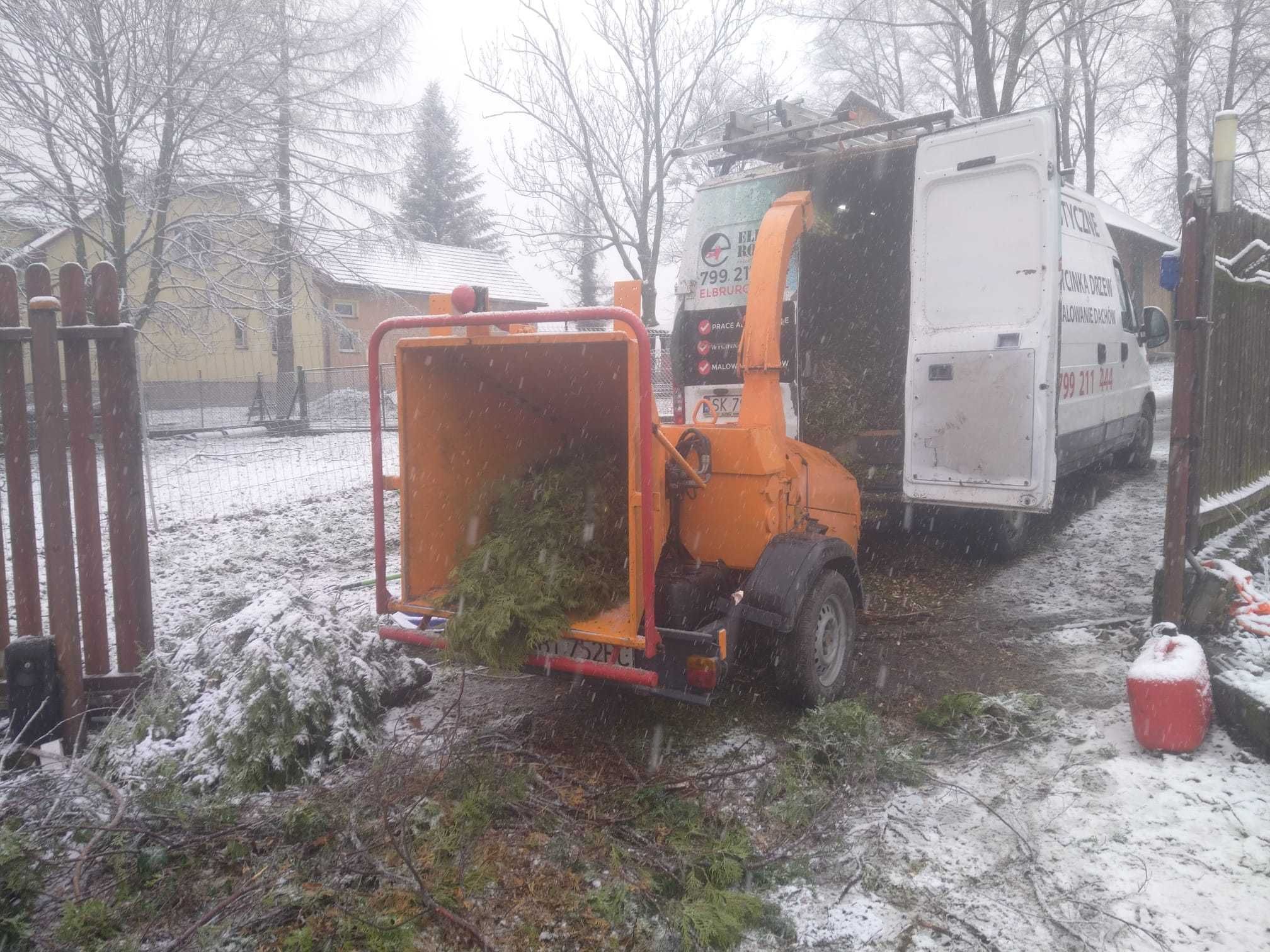 Wycinka i Pielęgnacja drzew / frezowanie pni - Darmowa Wycena!