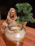 Grzybek herbaciany, Kombucha