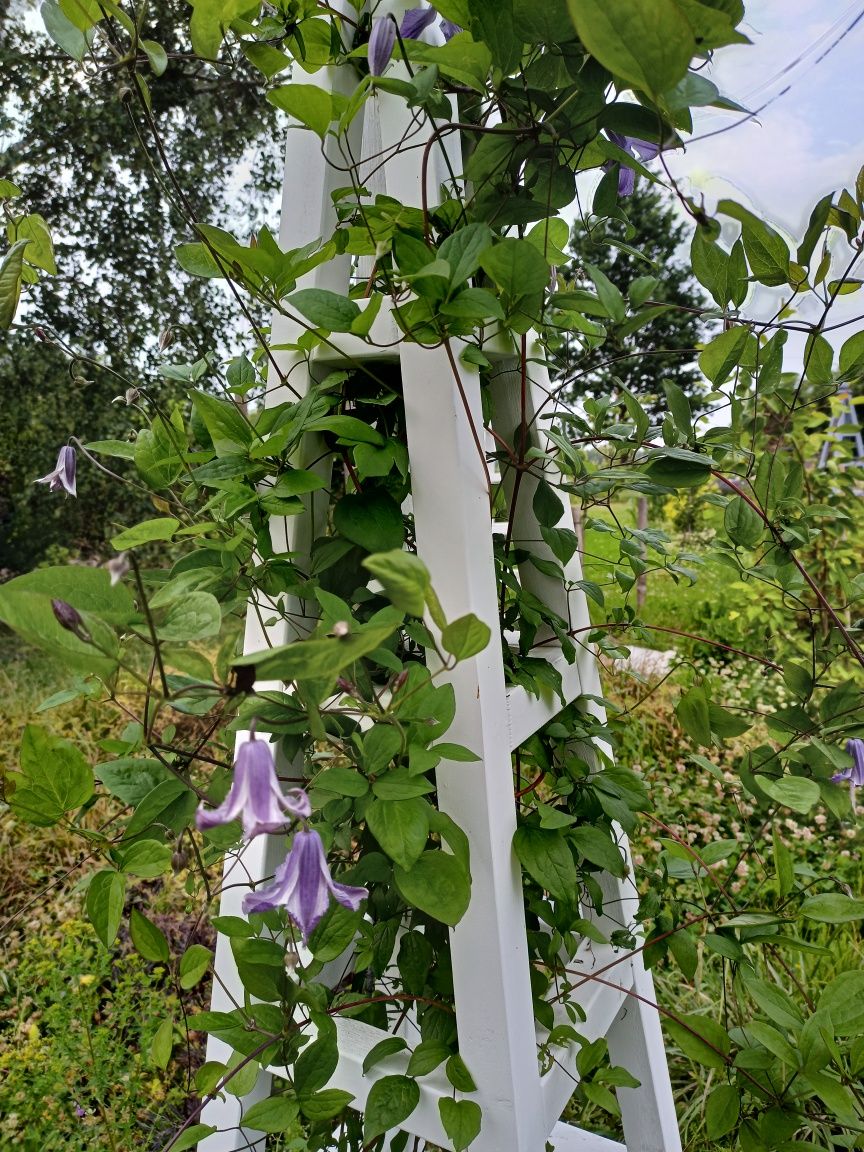 Obelisk ogrodowy