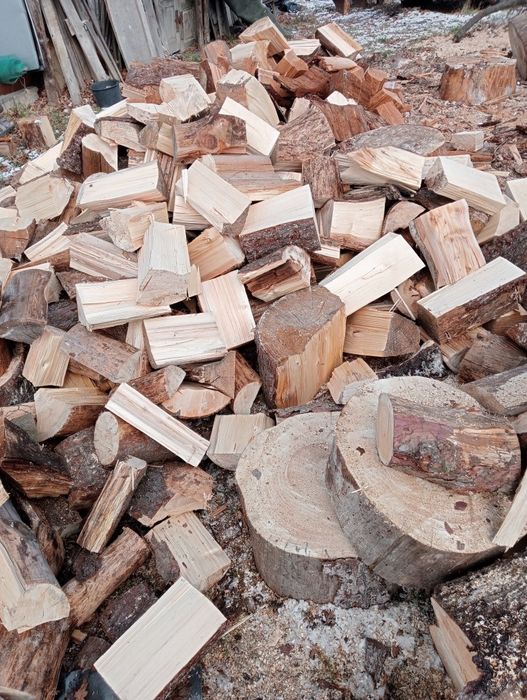 Drzewo opalowe i kominkowe