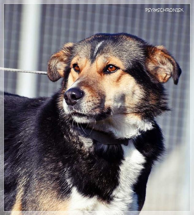 Klara – Twoja kandydatka na członka rodziny - pokochaj