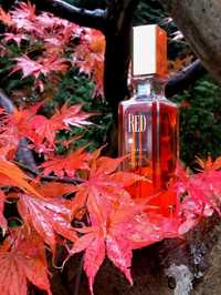 Giorgio Beverly Hills Red+flow perfum 154 gratis