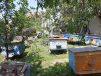 Продам вулики, улики