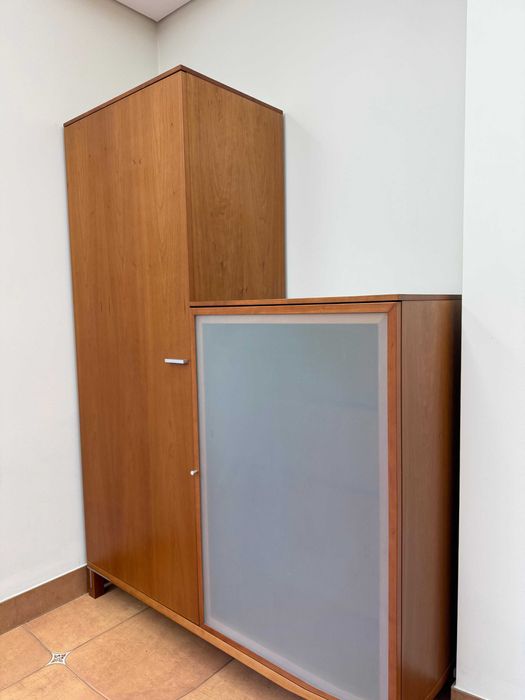 Móvel em madeira e vidro fosco