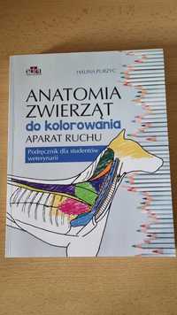 Anatomia zwierząt do kolorowania Aparat Ruchu Podręcznik dla studentów