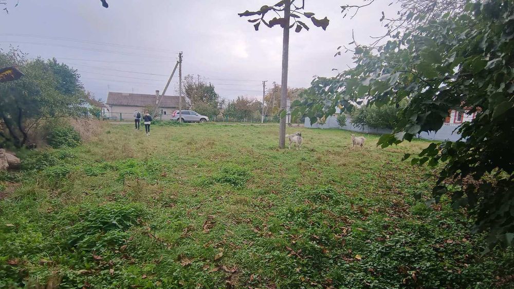 Продам будинок з земельною ділянкою  в Симоніві, можливо під комерцію.