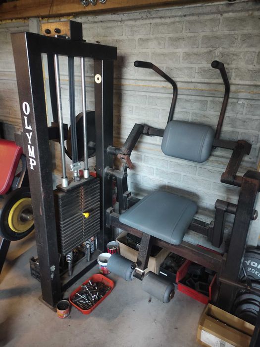 Atlas do ćwiczeń na brzuch scyzoryk góra dół ściąganie OLYMP G013