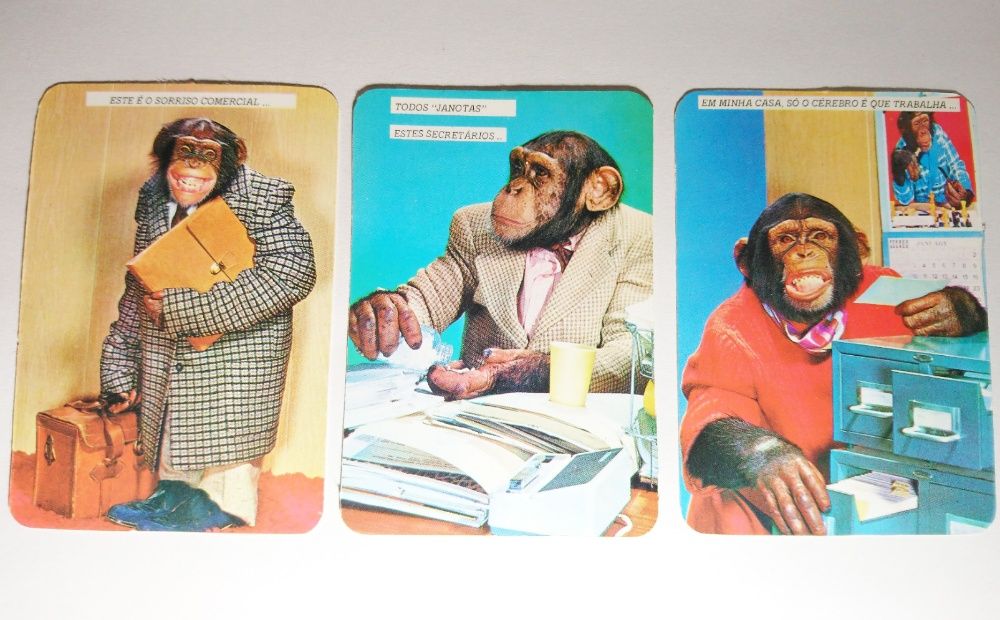 Calendários de Bolso - vários temas - Alf, Porto, Animais