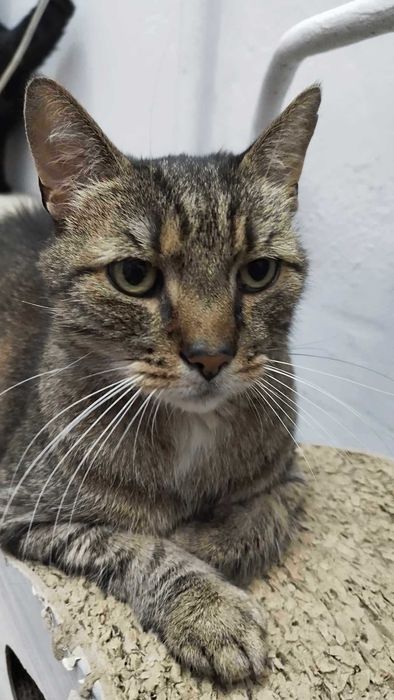 Bruno, słodki chłopak z charakterem