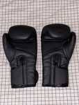 Боксерские перчатки “V’NOKS Boxing Machine 14oz”