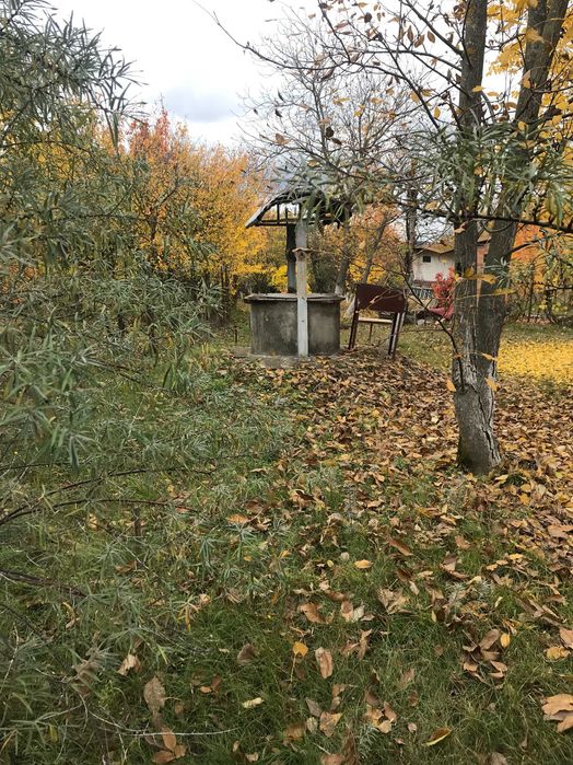 Дачна ділянка "Сади Мічуріна" 6 соток