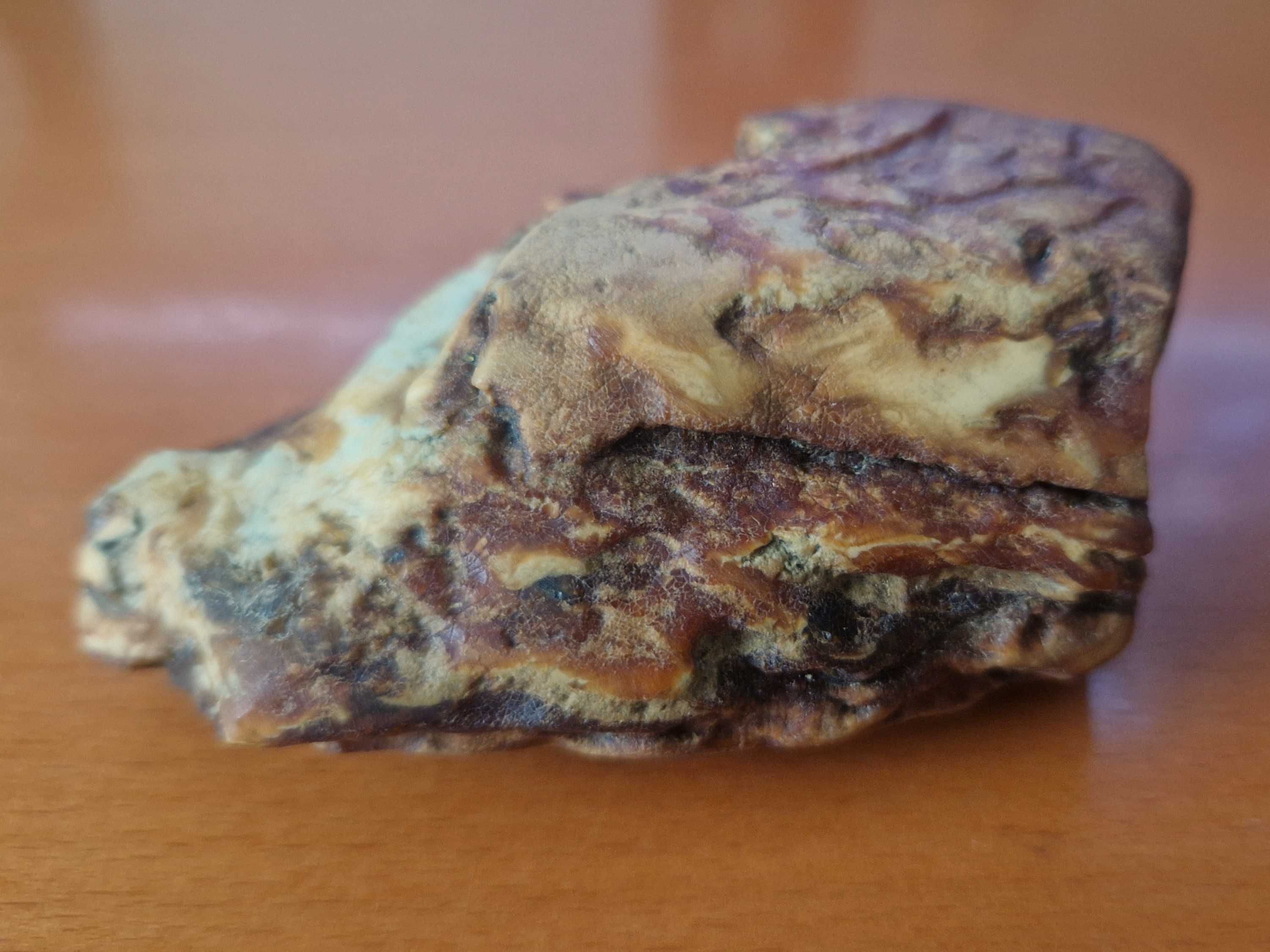 Wyjątkowy biało-kościano-przeźroczysty bursztyn ukraiński (95 g)