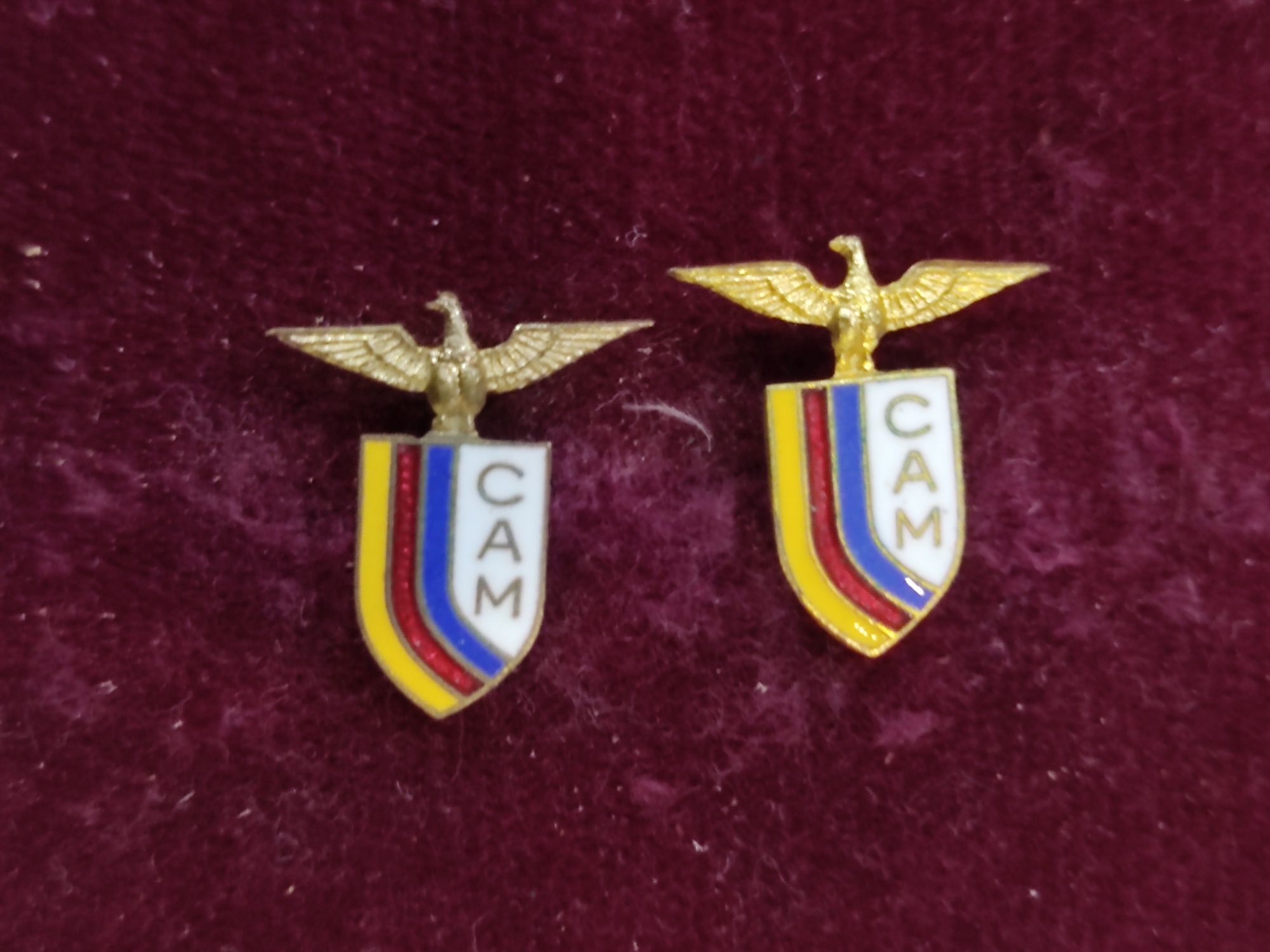 Pin / emblema Clube Atlético de Molelos Tondela