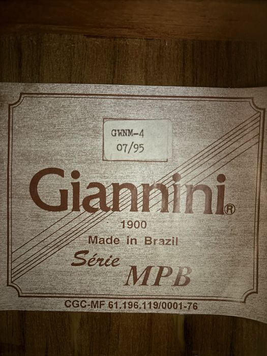 Viola classica Giannini