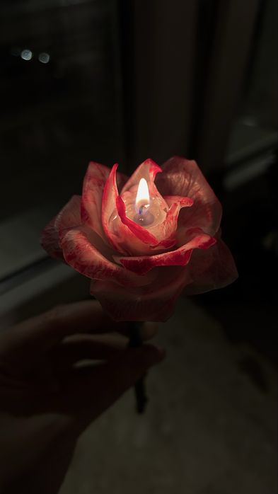 świeca realistyczna piwonia / handmade / na prezent