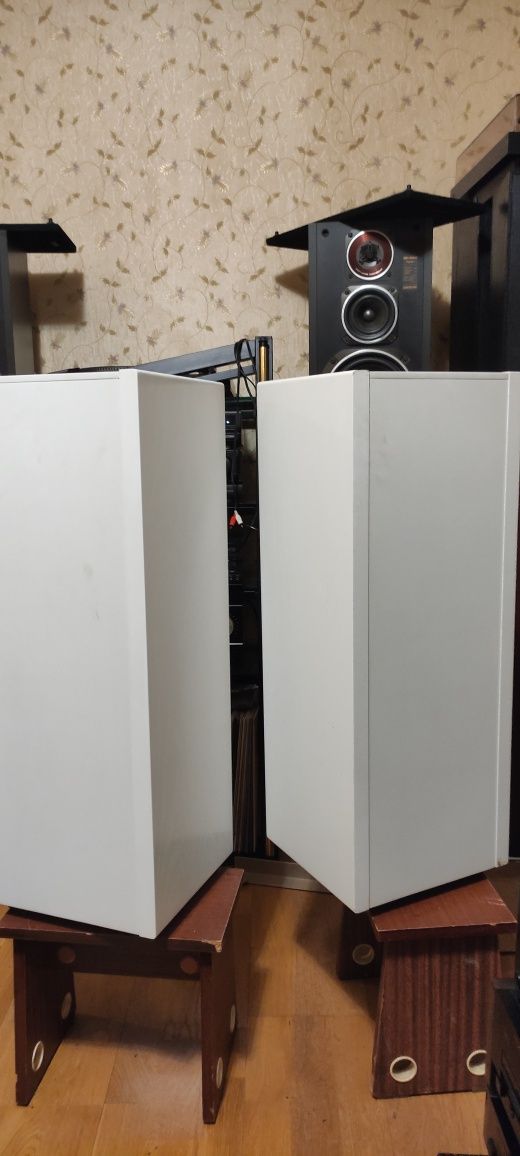 Акустика колонки Magnat msp 110