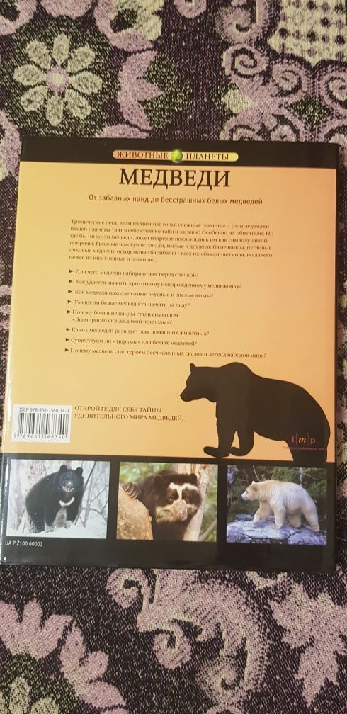 Книга Животные планеты Энциклопедия Медведи Кристина Курвен