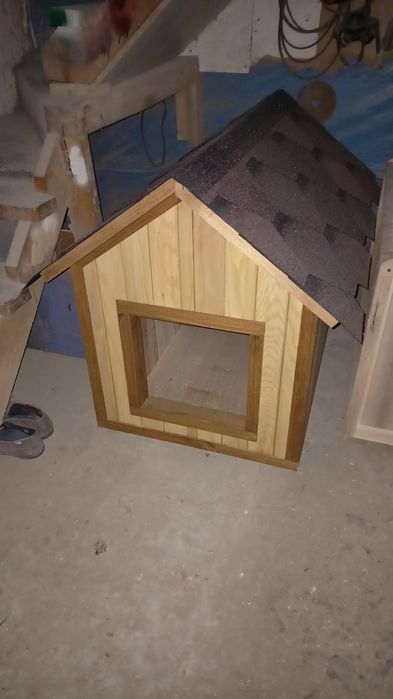 Буда для собаки.