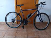 Bicicleta montanha - Fundador