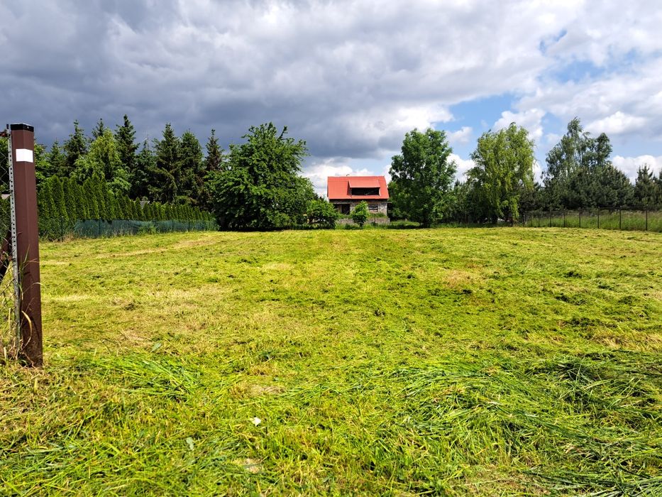 Wycinka samosiejek I koszenie trawy