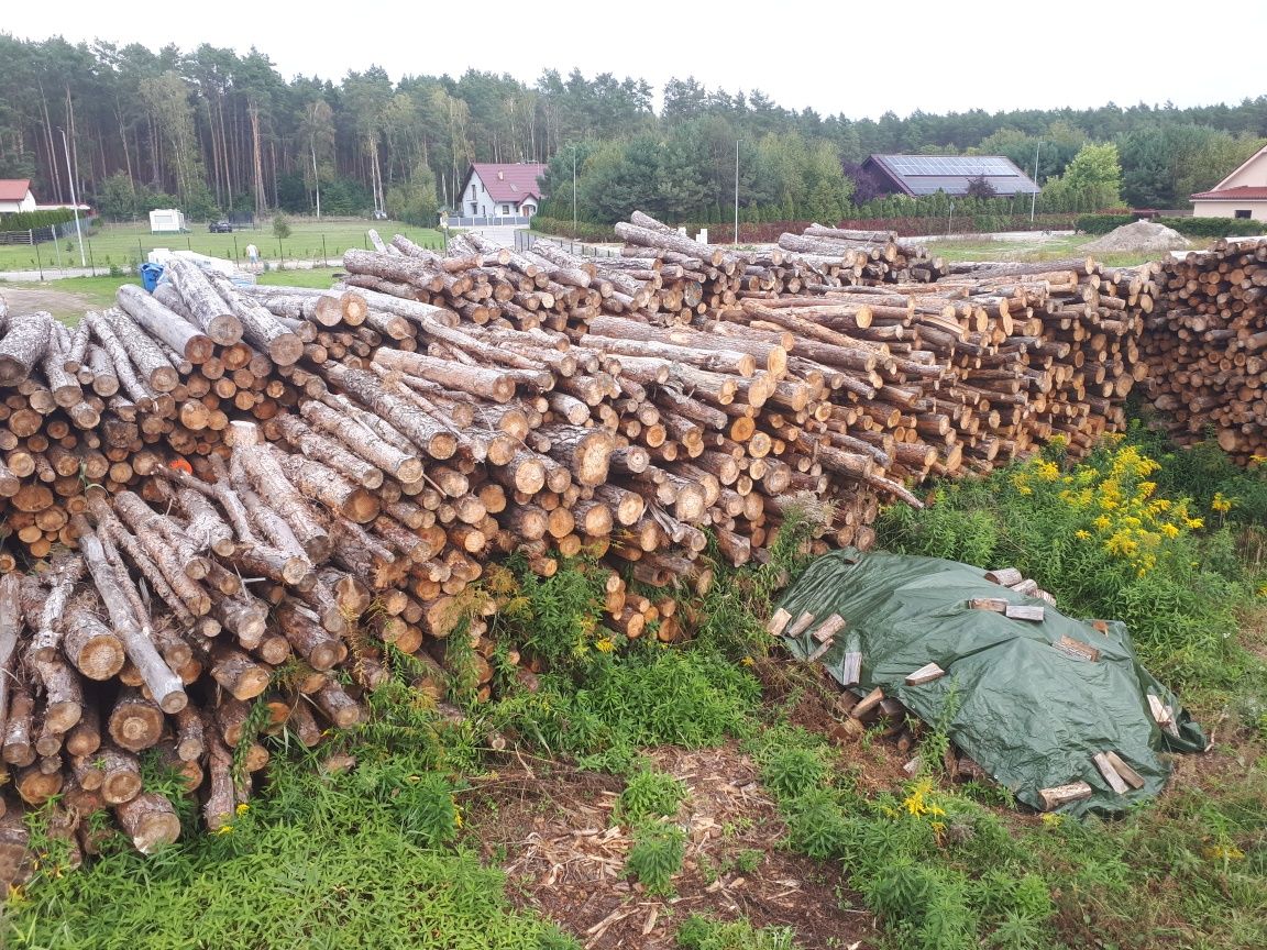 SUCHE Drewno opałowe Sezonowane